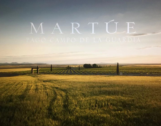 龙岩马图道科干红葡萄酒代理